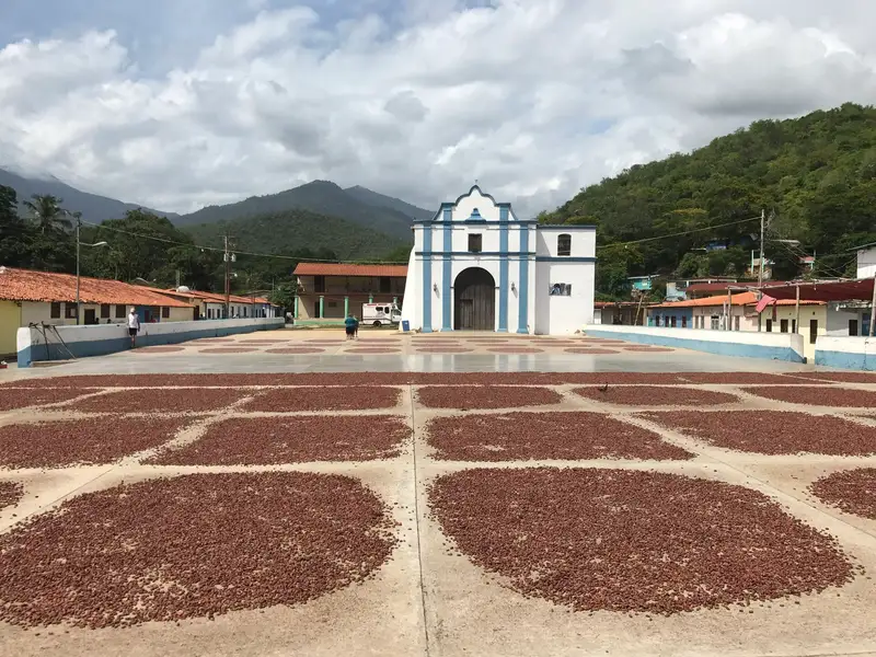 Tostatura delle fave di cacao nel villaggio di Chuao, in Venezuela