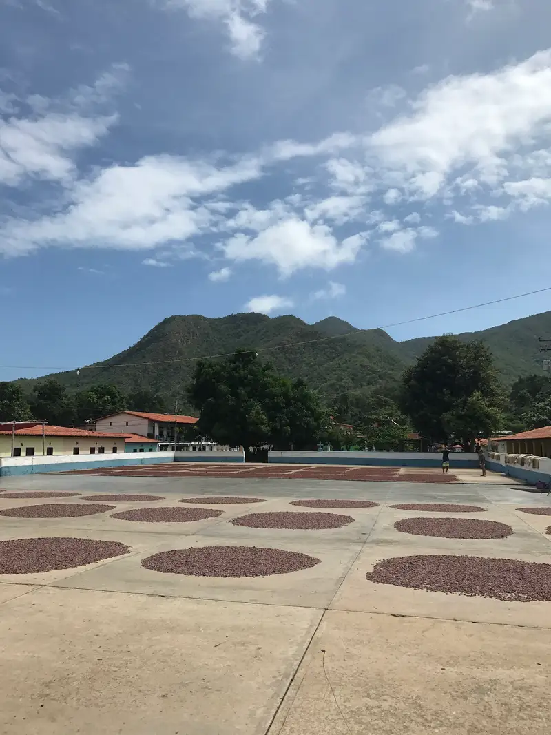 Tostatura delle fave di cacao nel villaggio di Chuao, in Venezuela
