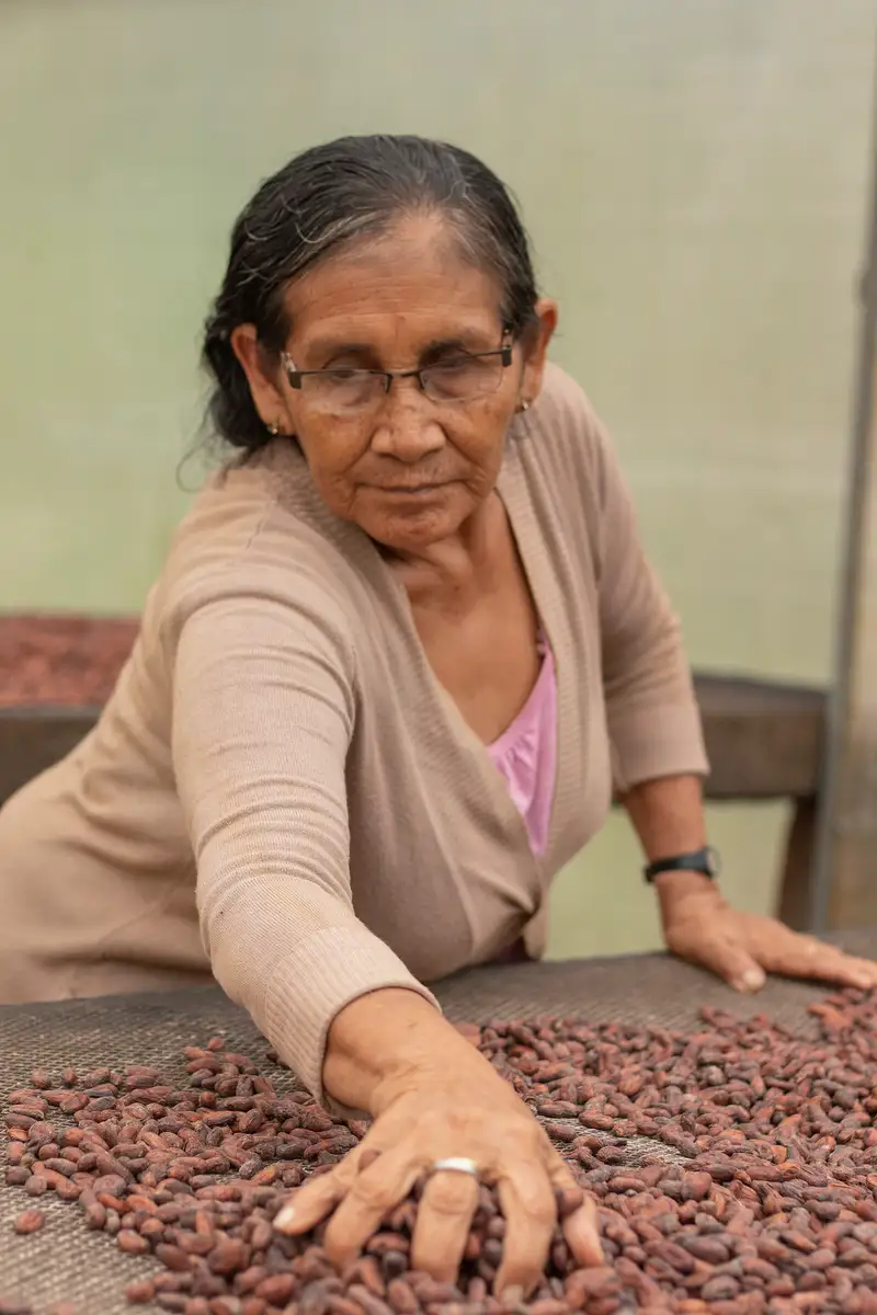 Cacao fotografato a Guanay, in Bolivia