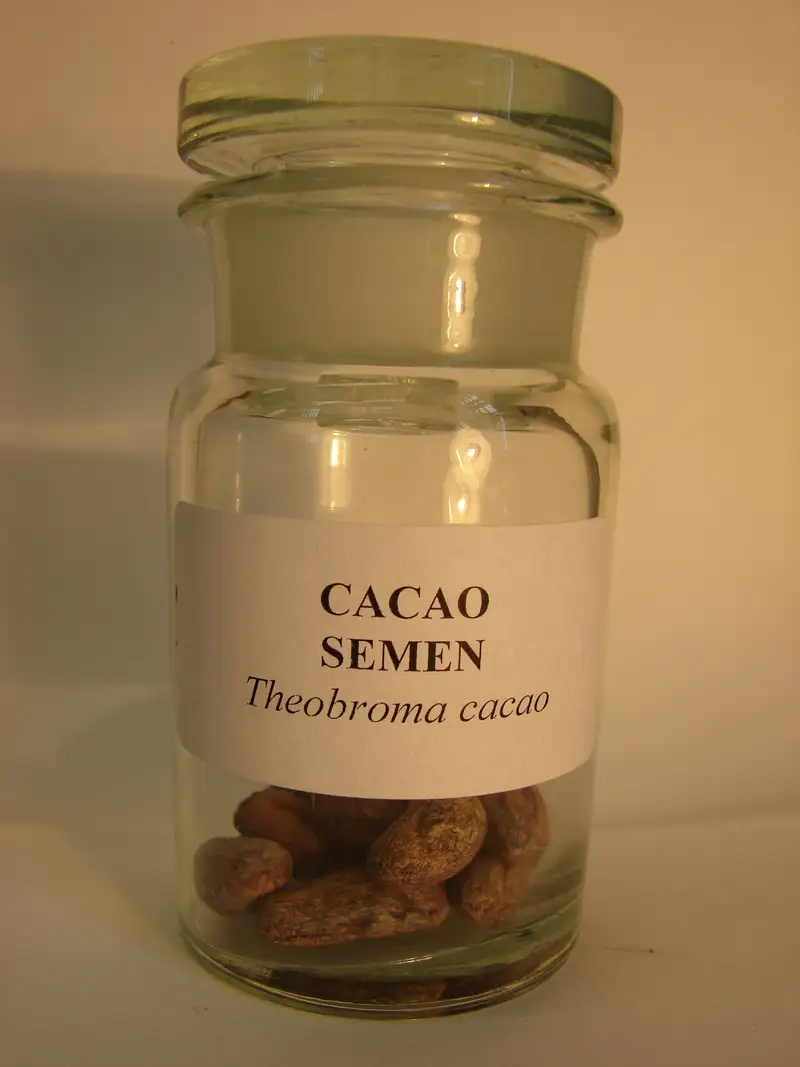 Semi di cacao fotografati da vicino