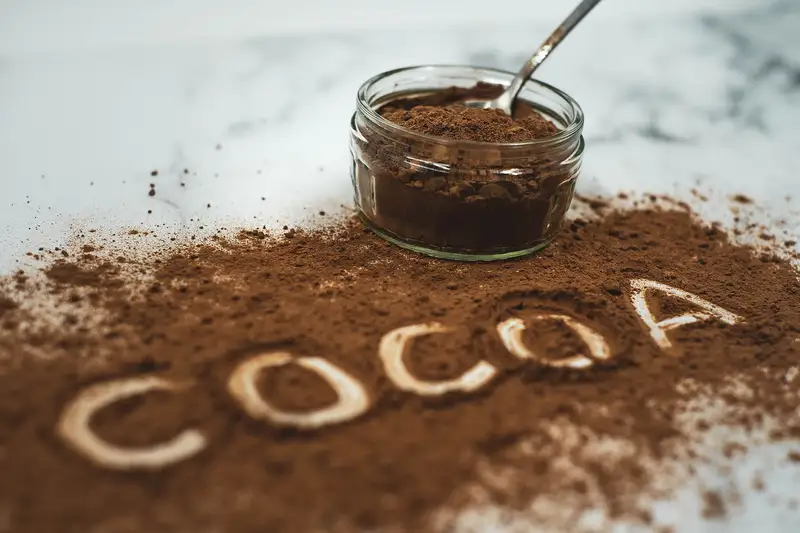 La parola cocoa scritta con il cacao in polvere
