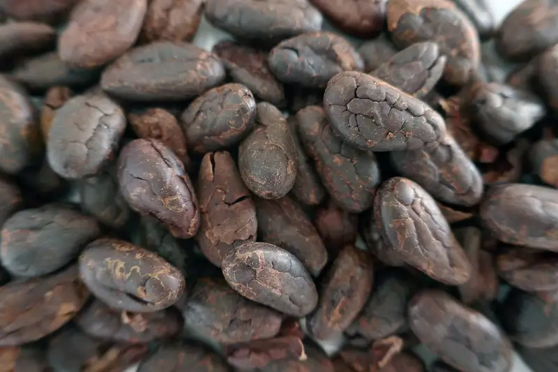 Fave di cacao tostate di São Tomé e Príncipe