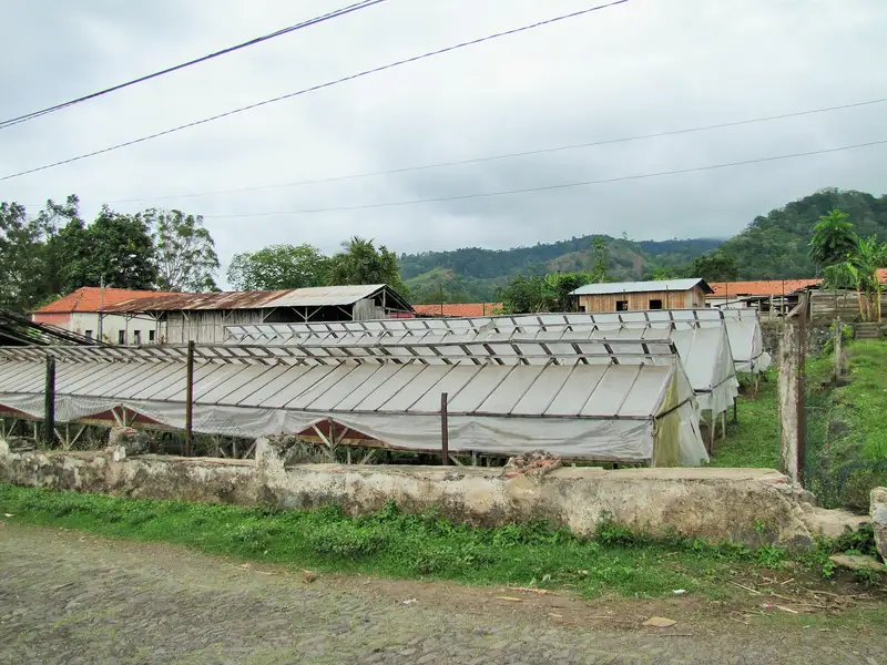 Essiccatoi per il cacao a São Tomé