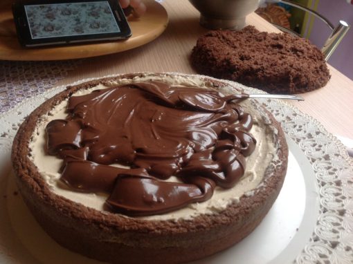 Torta pan di stelle